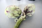 artichauts1